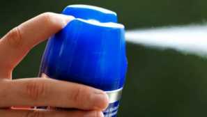 Jak zjistit, které dichlorofos je lepší z lůžkových chyb? Názor odborníka